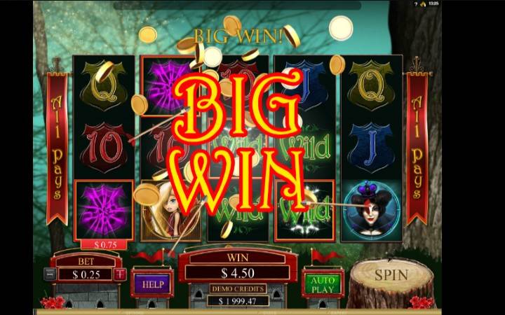 Bonus Casino