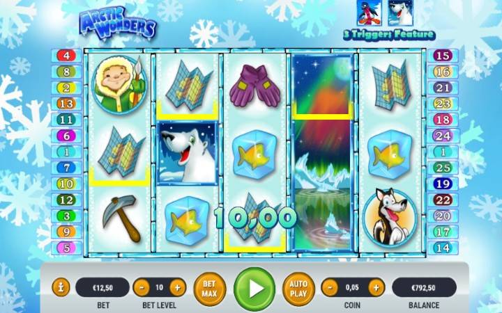 Arctic Wonders