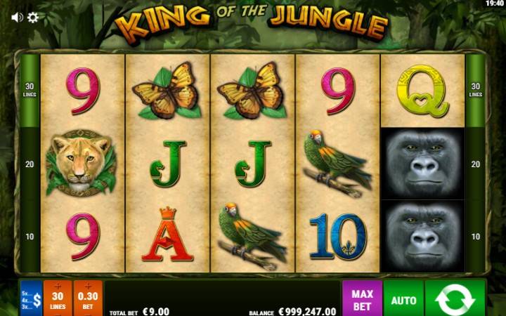 King of The Jungle, Gamomat, Online Casino Bonus