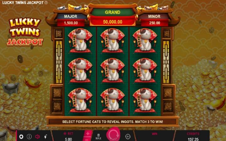 Jackpot, džekpot, Online Casino Bonus, Lucky Twins Jackpot
