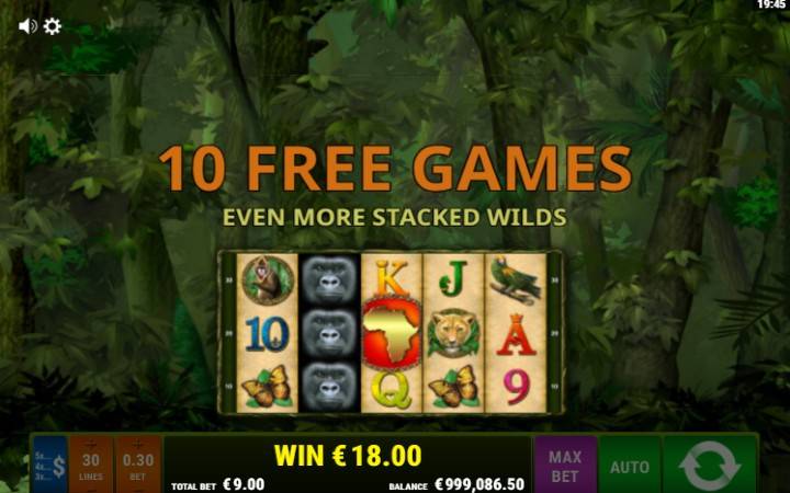 Besplatni Spinovi, Online Casino Bonus, Scatter, King of The Jungle