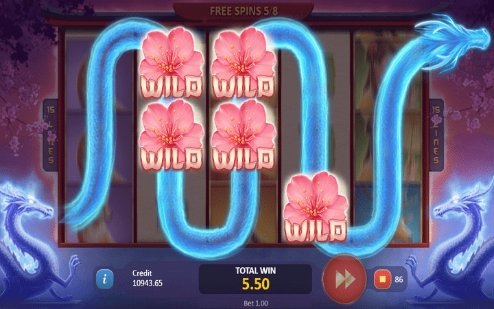 Playson, Online Casino Bonus