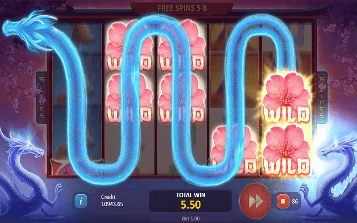 Playson, Online Casino Bonus