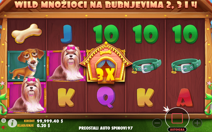 The Dog House, Playtech, Online Casino Bonus