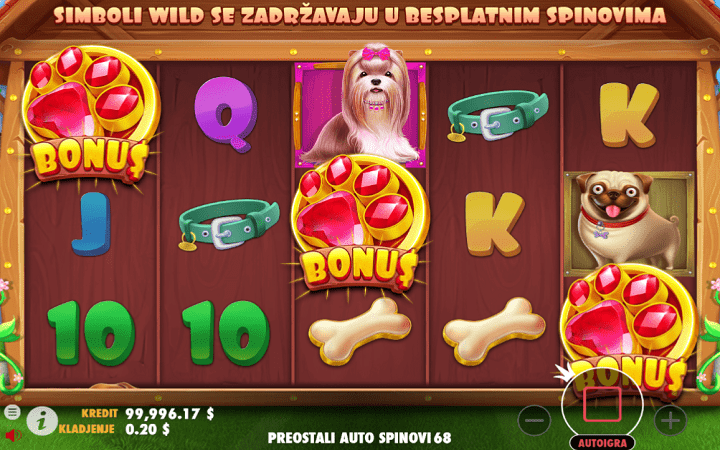 The Dog House, Playtech, Online Casino Bonus