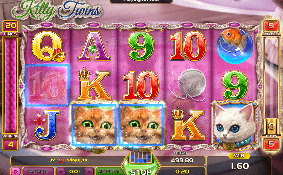 Kitty Twins, GameArt, Online Casino Bonus