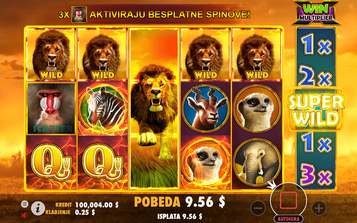 Hot Safari, Pragmatic Play, Online Casino Bonus