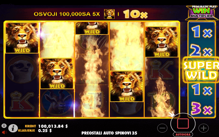 Hot Safari, Pragmatic Play, Online Casino Bonus
