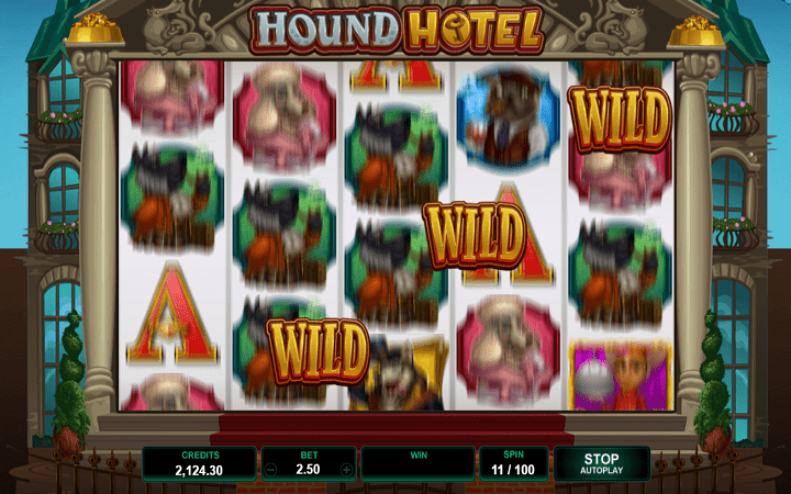 Hound Hotel