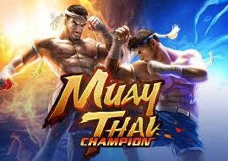 Muay Thai Champion