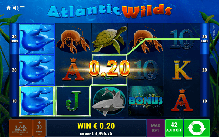 Atlantic Wilds