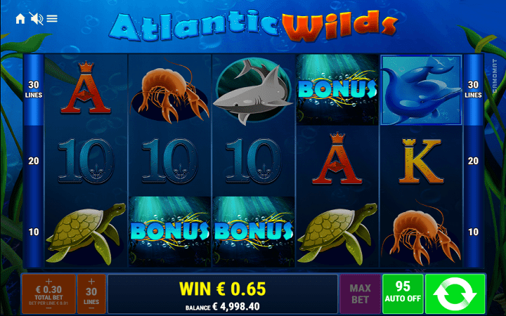 Atlantic Wilds