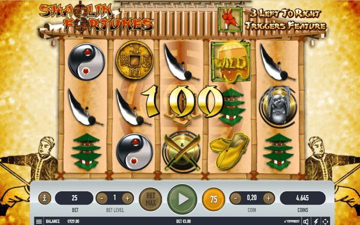 Shaolin Fortunes 243