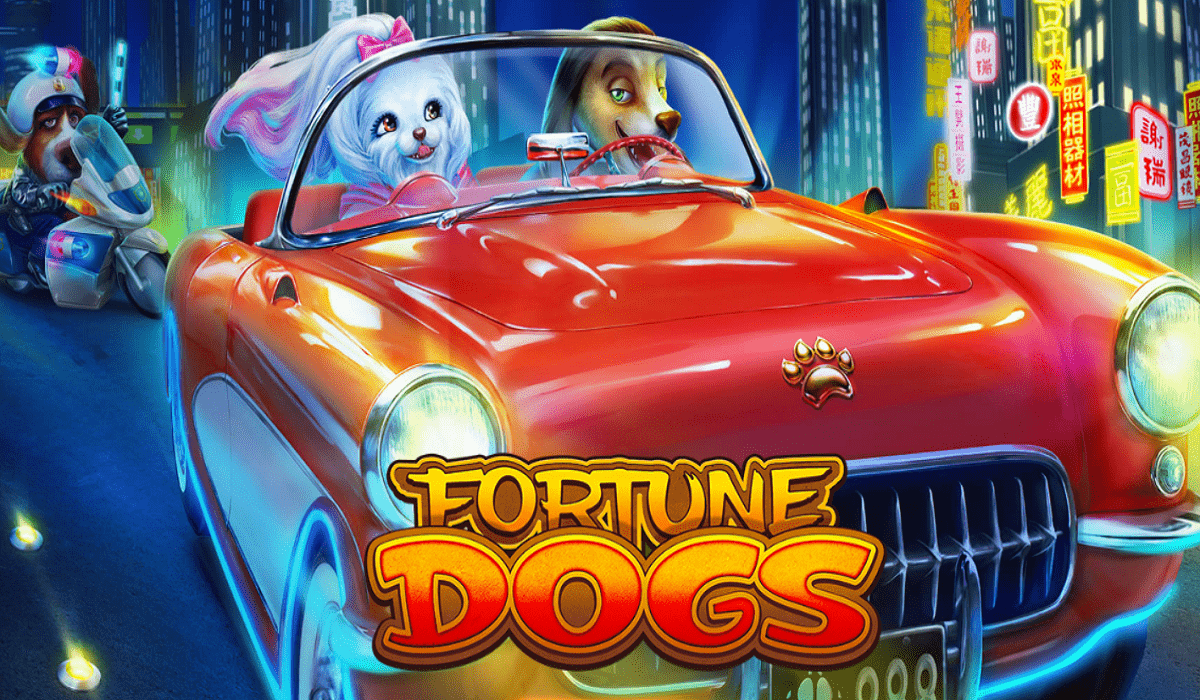 Fortune Dogs