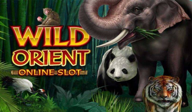 Wild Orient