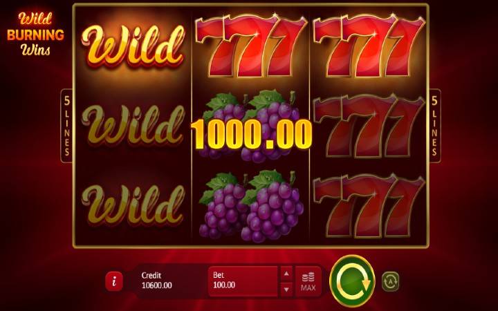 džoker-online casino bonus-wild burning wins