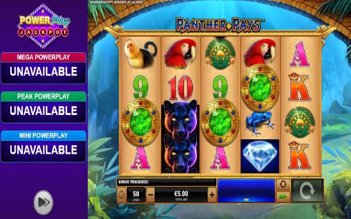 Scatter-online casino bonus-power play panther pays-playtech