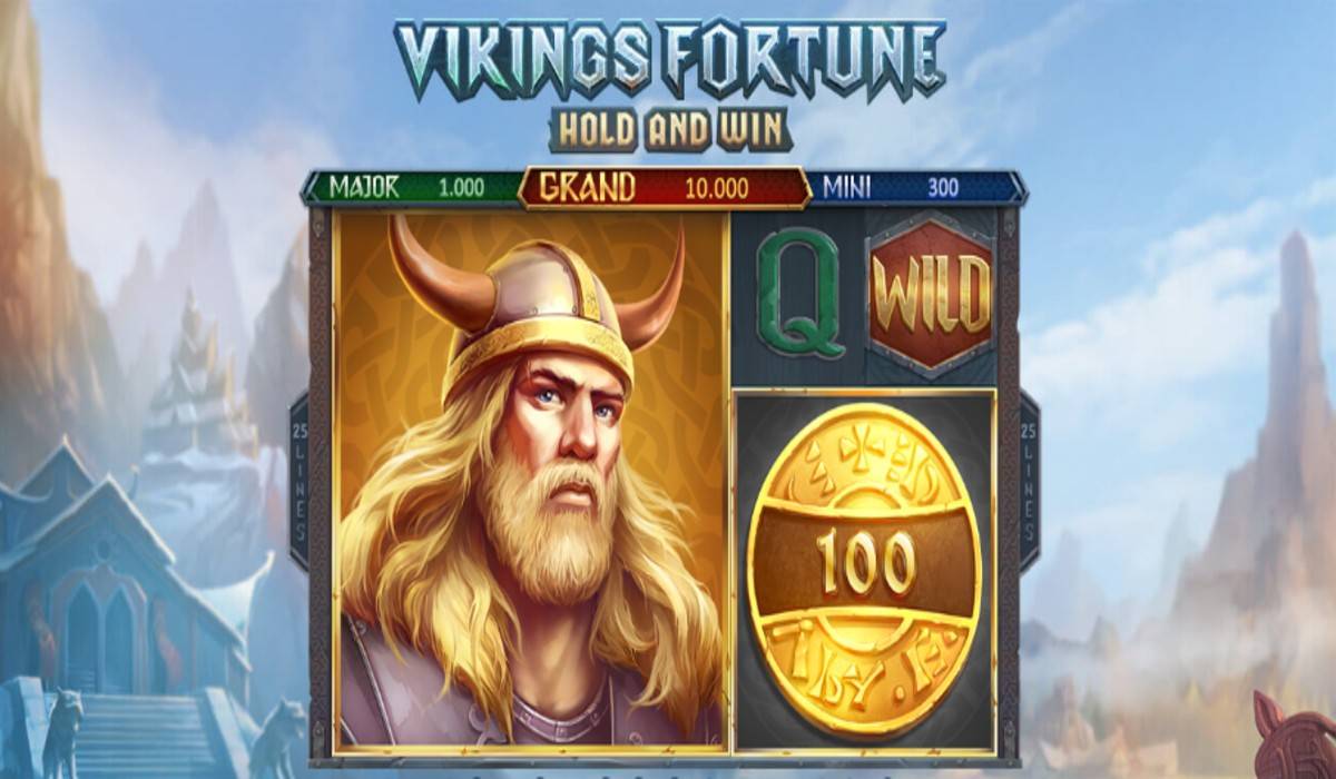 Vikings Fortune Hold and Win