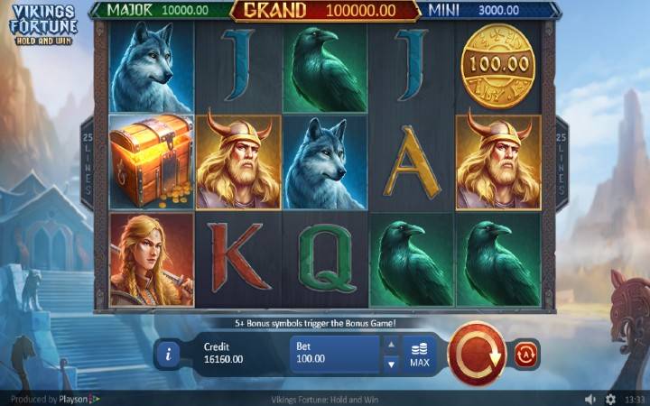 Vikings Fortune Hold and Win-online casino bonus-playson