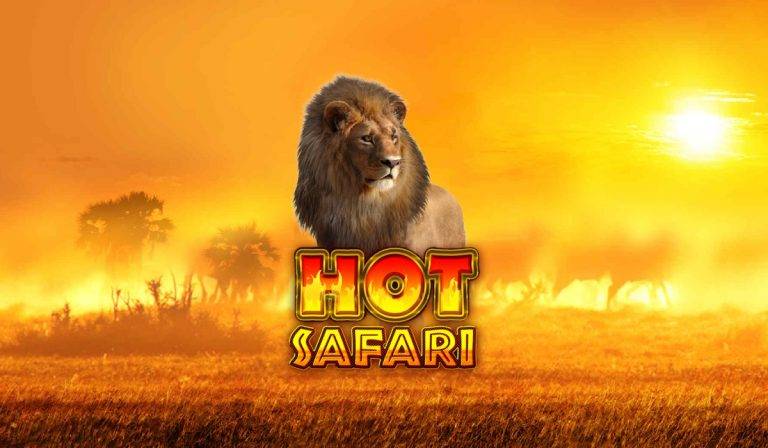 hot safari