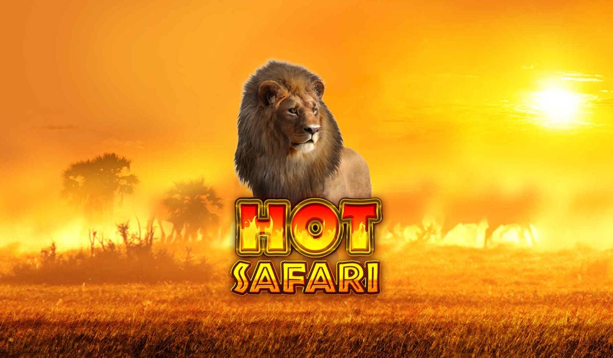 hot safari