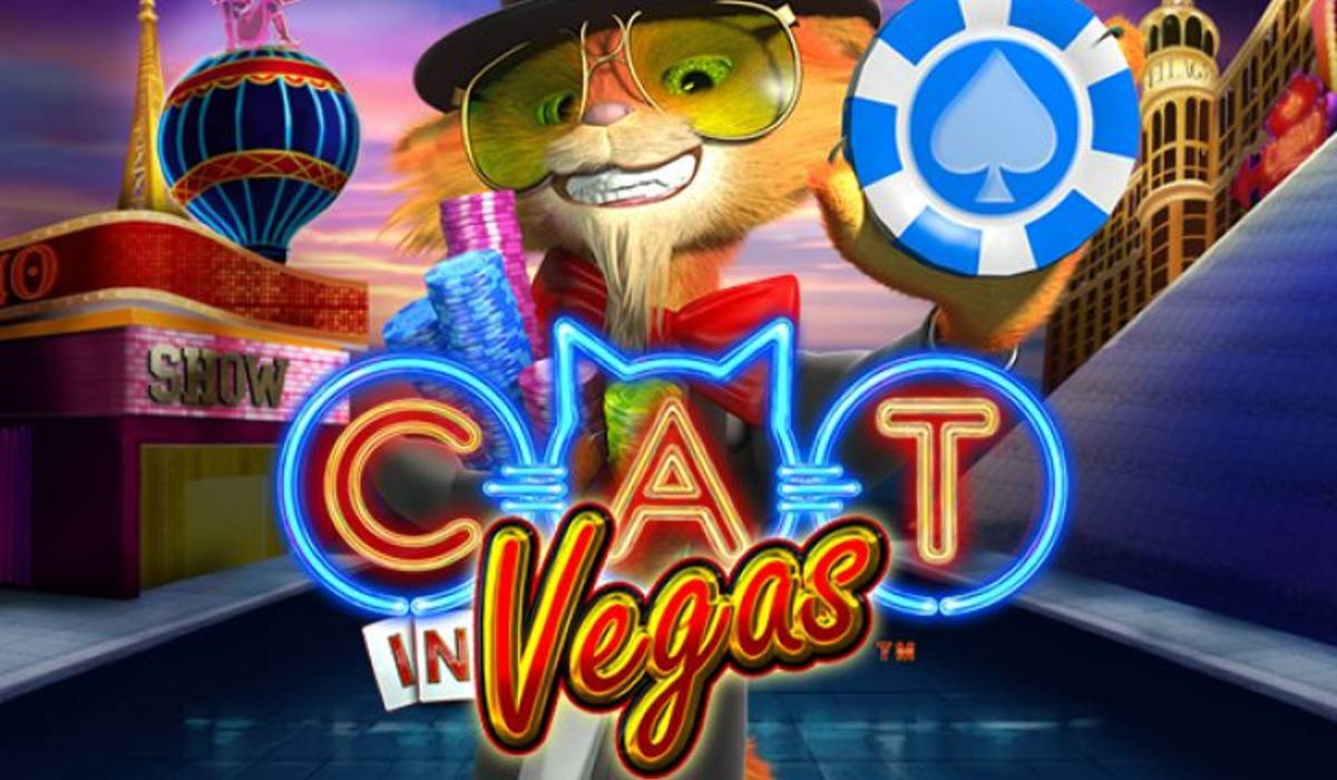 Cat in Vegas