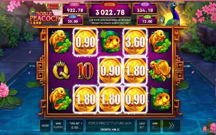 Power Prizes Noble Peacock