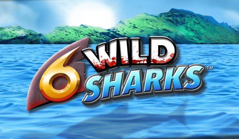 6 Wild Sharks