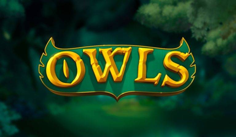 Owls