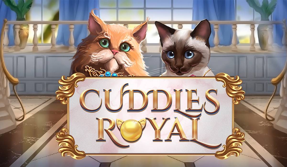 Cuddles Royal