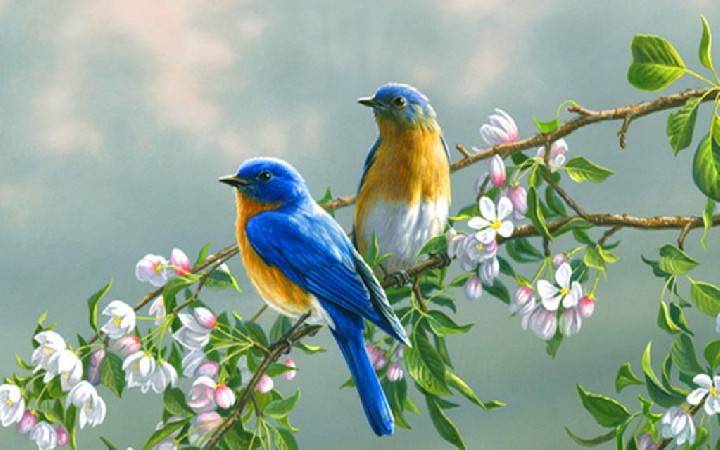 Mesečni horoskop za maj