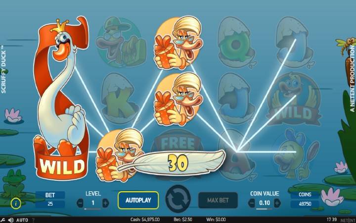 Scruffy Duck-džoker-netent-online casino bonus