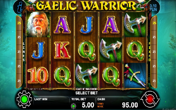 Gaelic Warrior