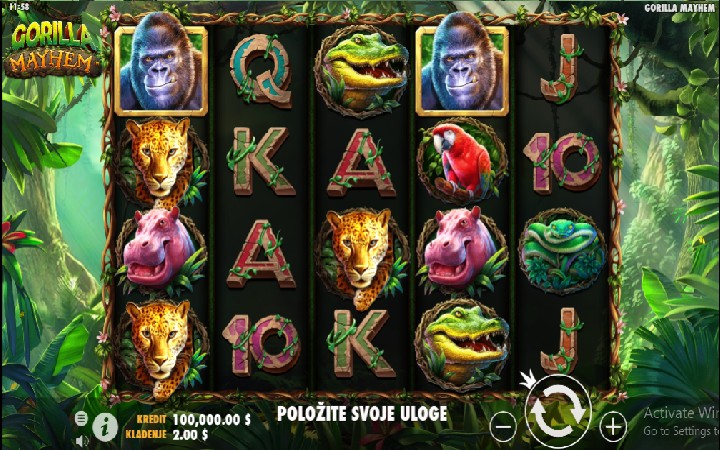 Gorilla Mayhem
