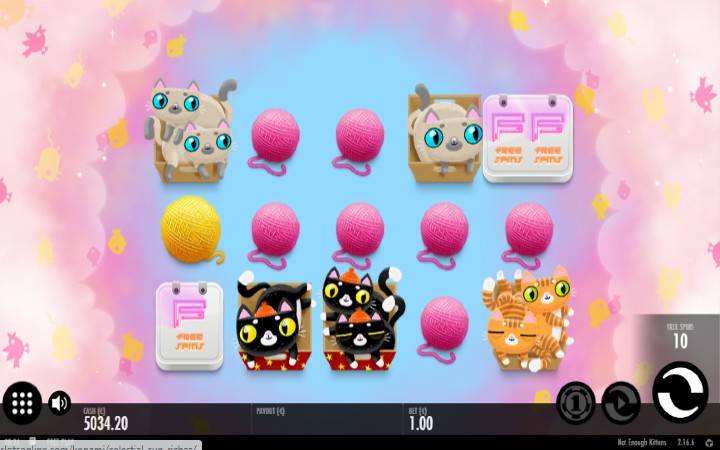 Not Enough Kittens-online casino bonus-scatter-thunderkick
