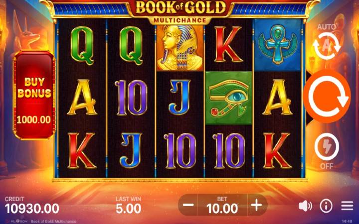 Book of Gold Multichance-online casino bonus-Playson