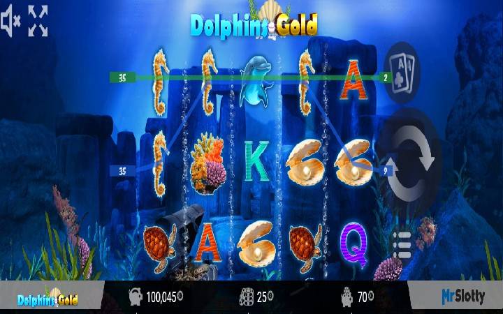 Dolphins Gold
