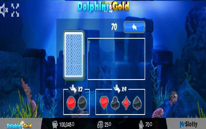 Dolphins Gold