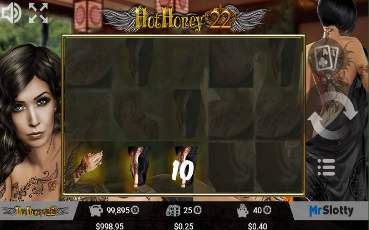 Hot Honey 22-džoker-online casino bonus-mr. slotty