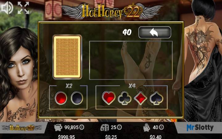 Hot Honey 22-bonus kockanja-online casino bonus-mr. slotty