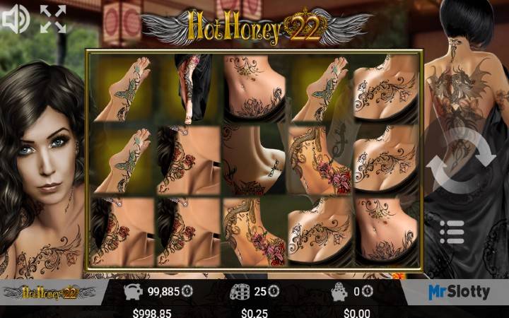 Hot Honey-online casino bonus-mr. slotty