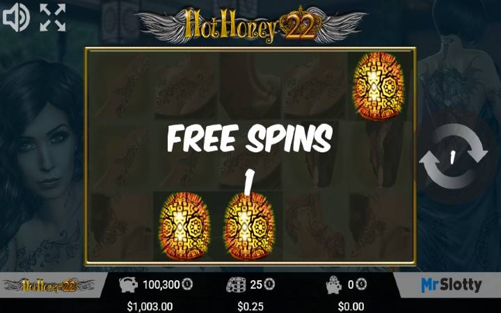 Hot Honey 22-besplatni spinovi-scatter-online casino bonus-mr. slotty