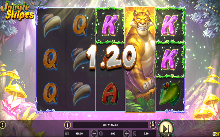 Jungle Stripes-besplatni spinovi-online casino bonus-betsoft