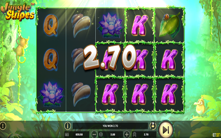 Jungle Stripes-dobitak-online casino bonus-BetSoft