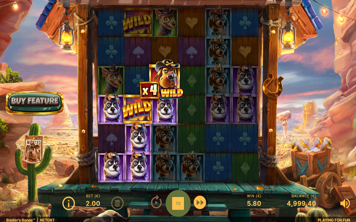 Busters Bones-Buster Bone Bonus-džoker-online casino bonus-NetEnt
