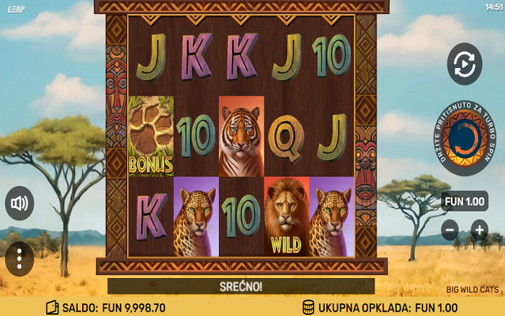 Big Wild Cats-online casino bonus-leap casino