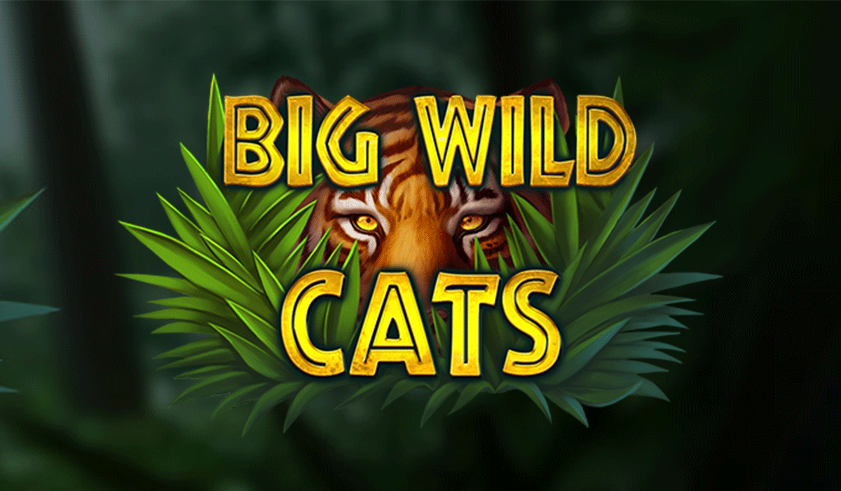 Big Wild Cats-leap casino-online casino bonus