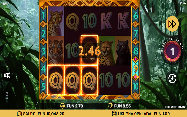 Big Wild Cats-besplatni spinovi-online casino bonus-leap casino
