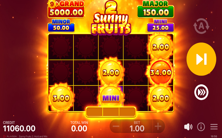 Sunny Fruits 2 Hold and Win-online casino bonus-playson-hold and win