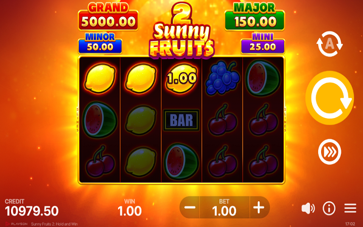 Sunny Fruits 2 Hold and Win-dobitak-online casino bonus-playson
